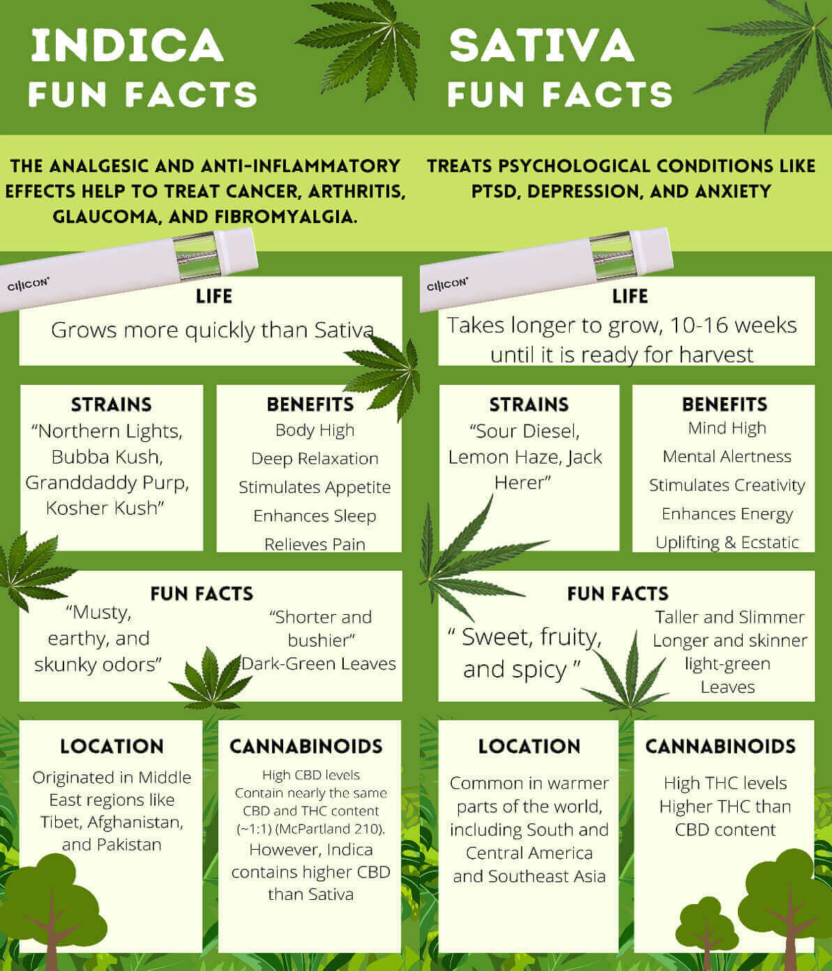 Indica vs Sativa.jpg