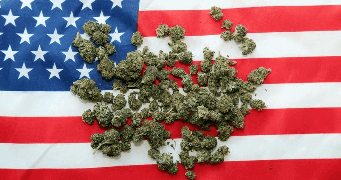 Indica and Sativa in USA.png