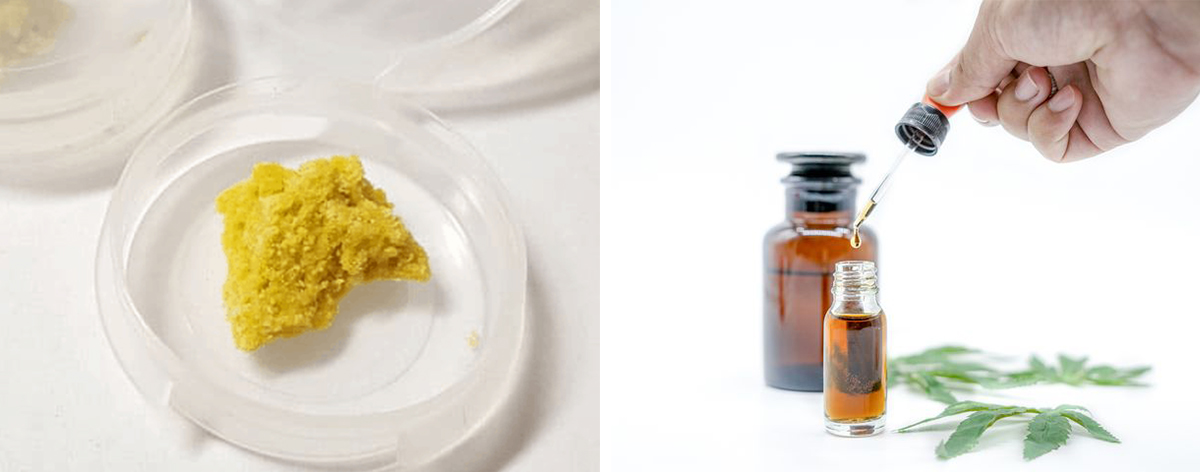 difference between cannabis wax and oil.jpg