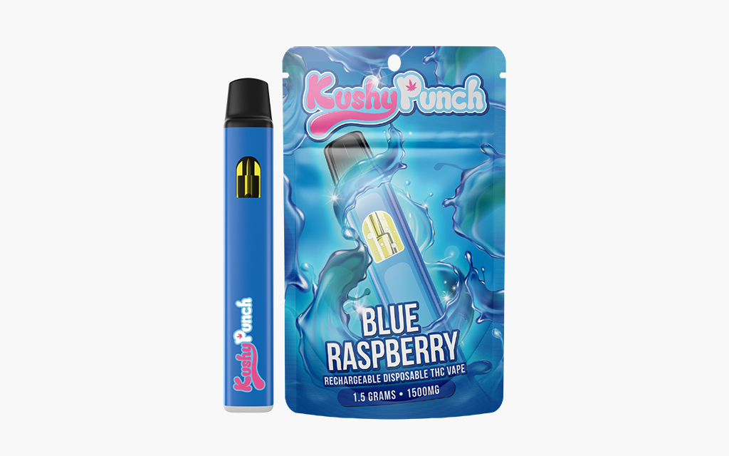 Blue Raspberry - Kushy Punch Vape