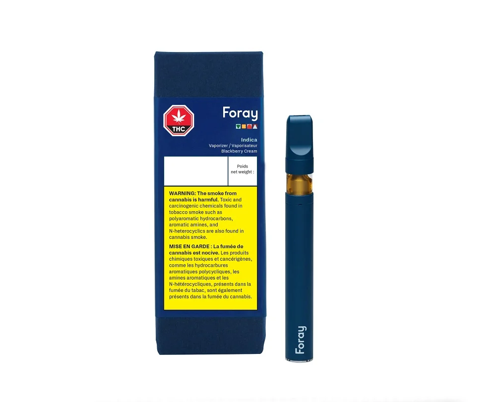 Foray Blackberry Cream Distillate Disposable (0.3g)