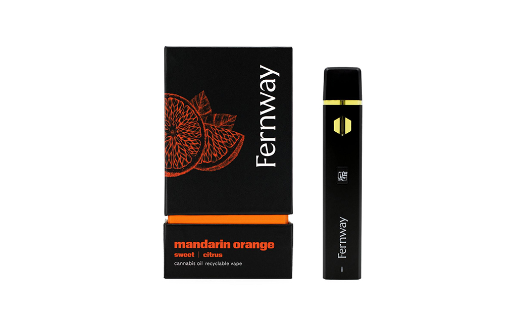 Massachusetts’-Best-Top 10 Best Selling Disposable Vapes and Brands Fernway