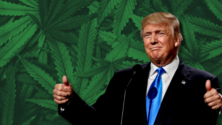 The Impact of Donald Trump’s Victory in the 47th U.S. Presidential Election on the Cannabis Industry