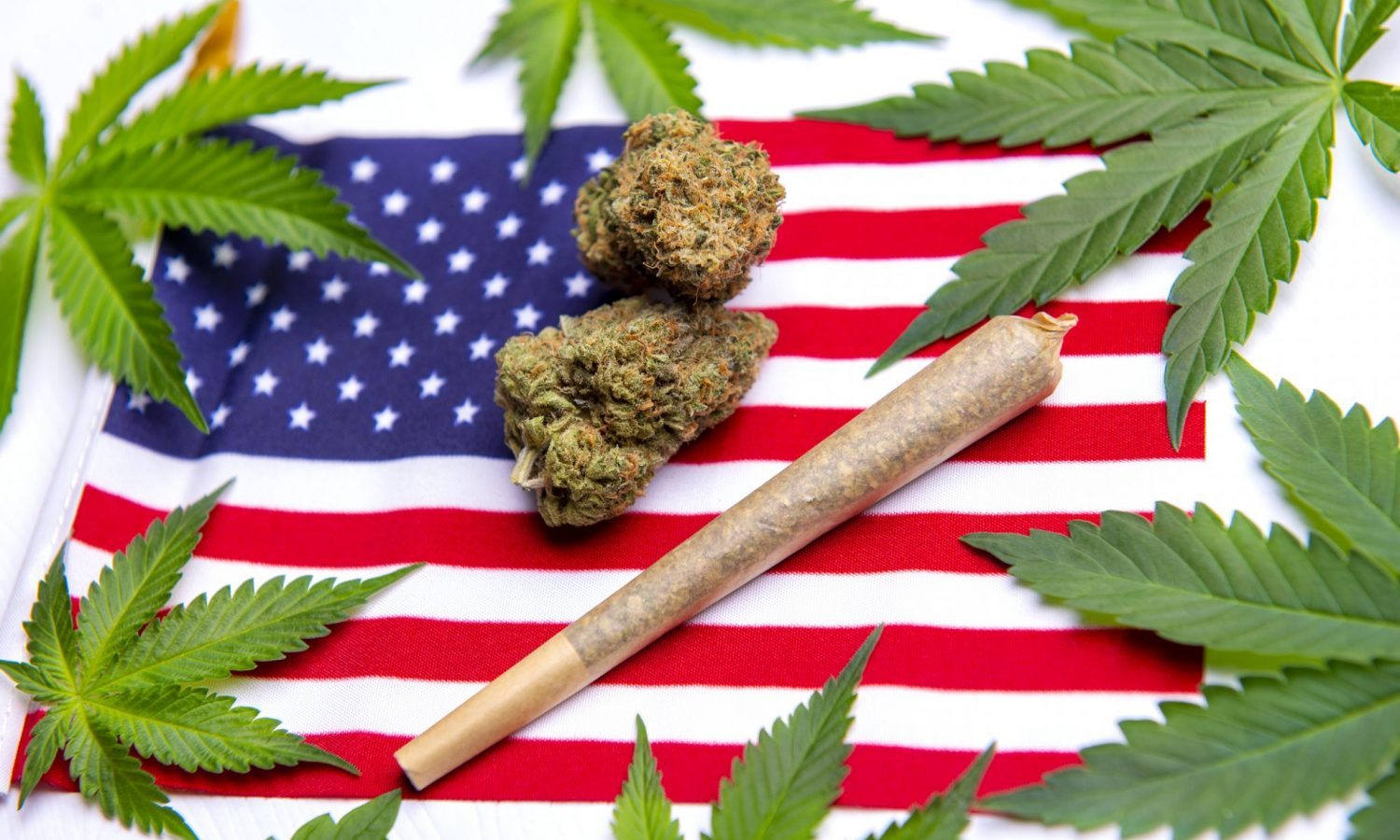 Top 15 American Cannabis Companies in 2024