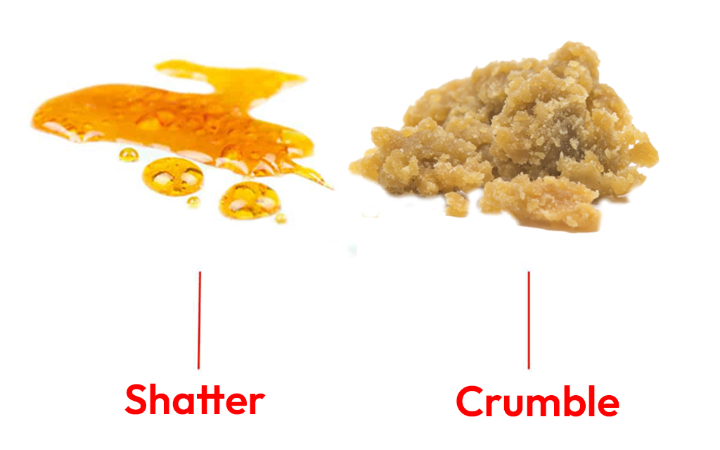 Shatter vs Crumble Concentrate